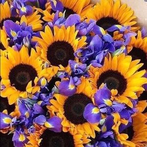 Meet your Posher, Tea